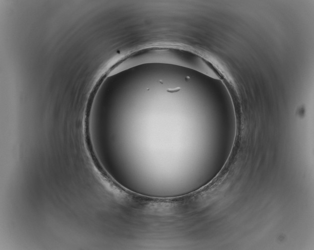 X0000091521237200708171210