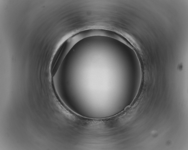 X0000091521238200708171210