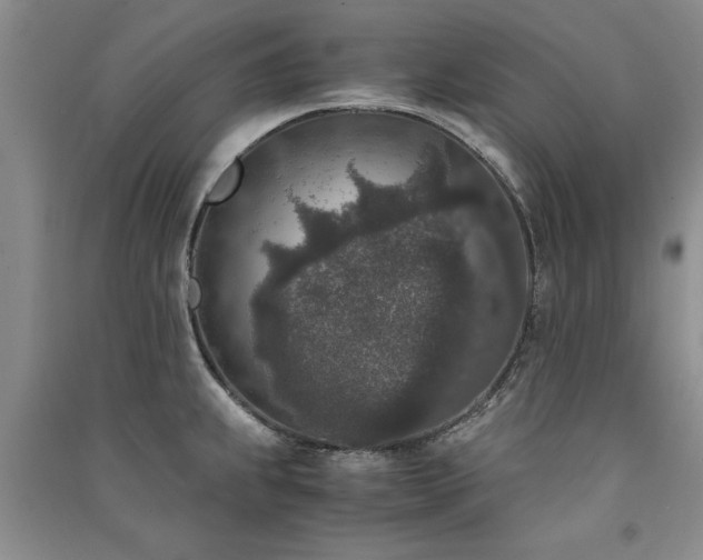 X0000091521239200708171210