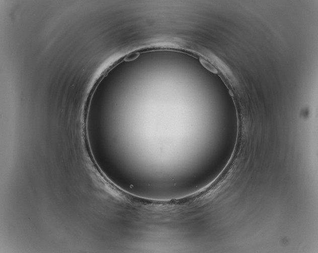 X0000091521240200708171210
