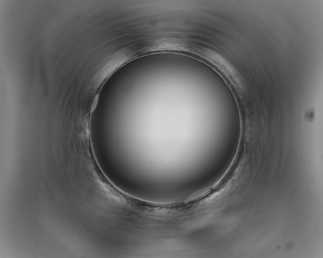 X0000091521241200708171210