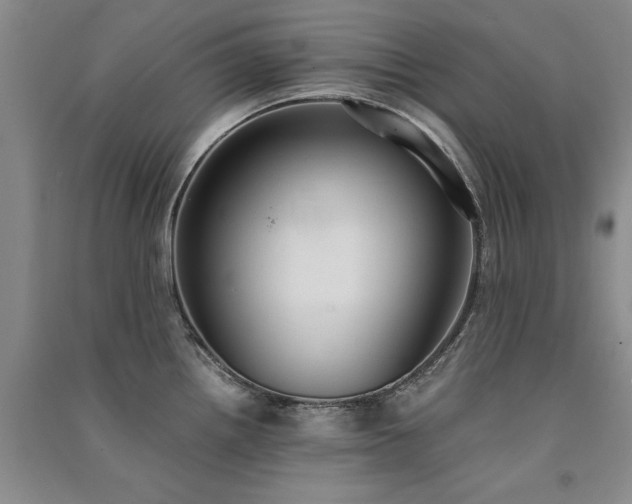 X0000091521242200708171210