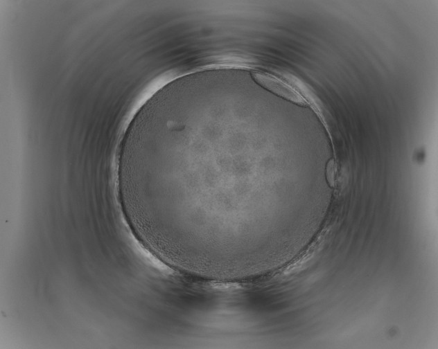 X0000091521243200708171210