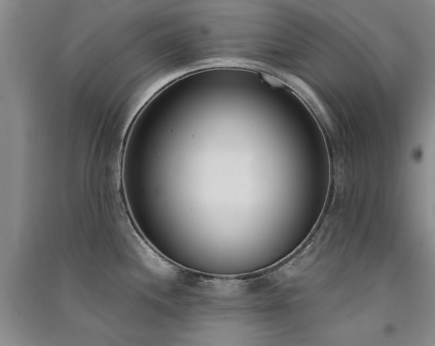X0000091521244200708171210