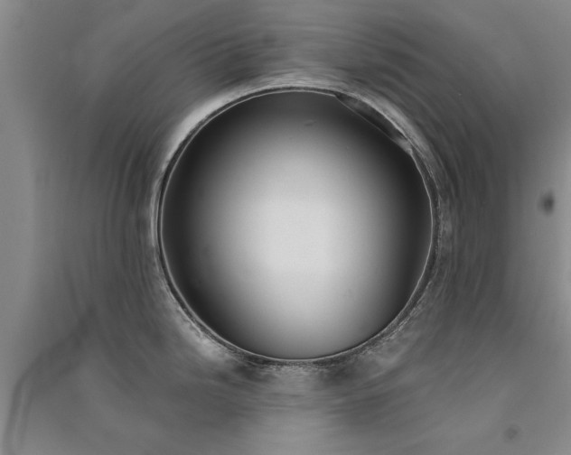 X0000091521246200708171210