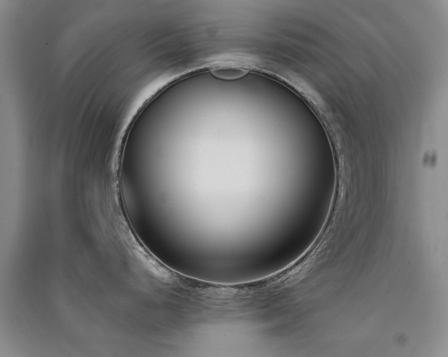 X0000091521248200708171210