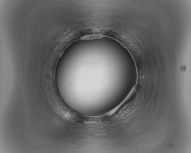 X0000091521249200708171209