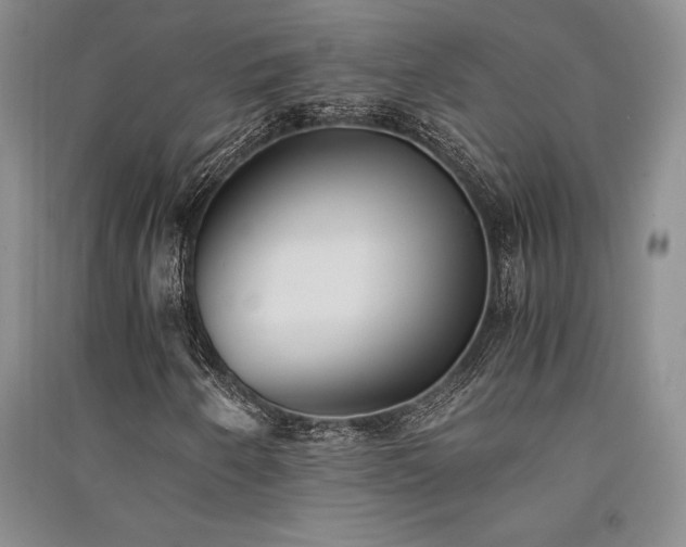 X0000091521250200708171209