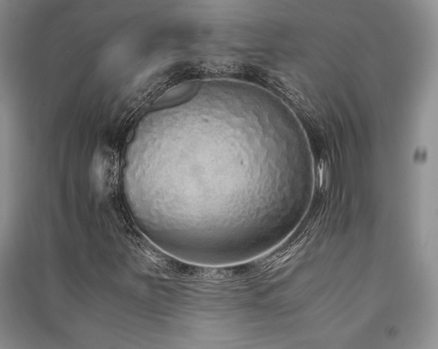 X0000091521251200708171209