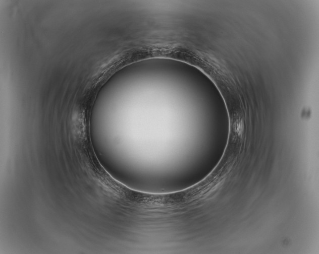 X0000091521252200708171209