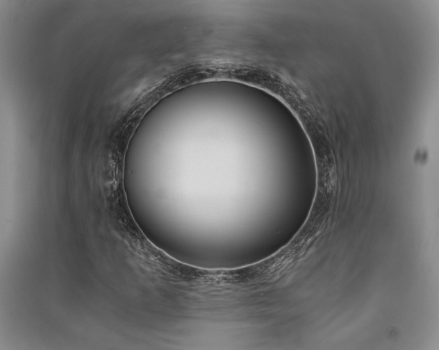 X0000091521253200708171209