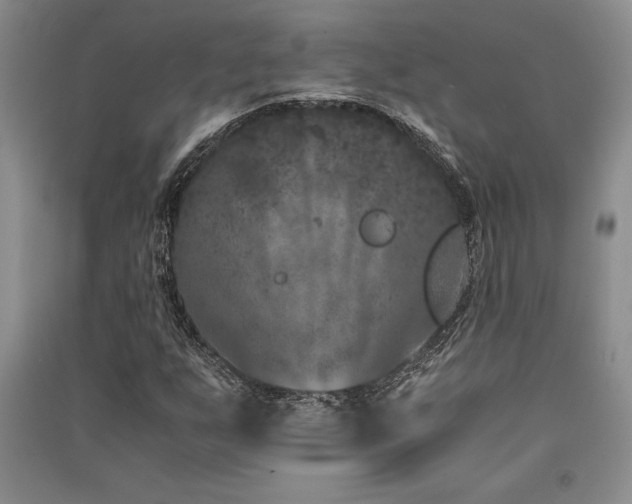 X0000091521255200708171209