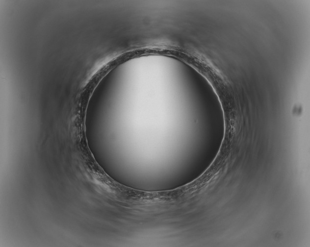 X0000091521256200708171209