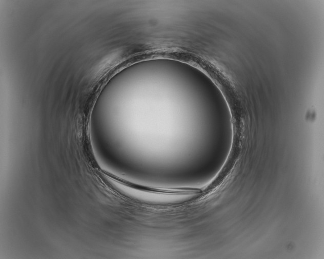 X0000091521257200708171209