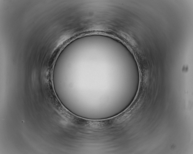 X0000091521258200708171209