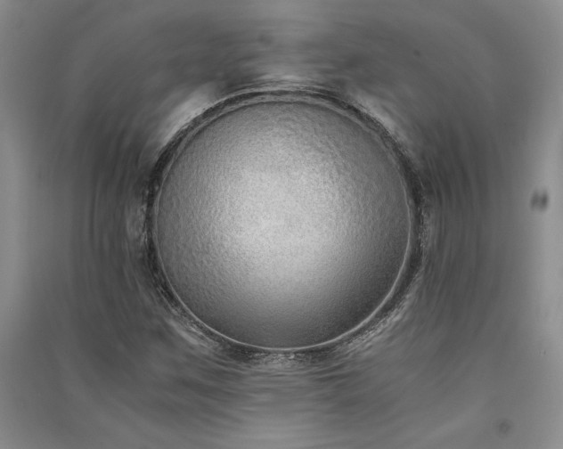 X0000091521259200708171209