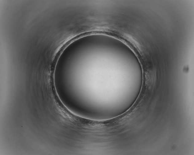 X0000091521260200708171209