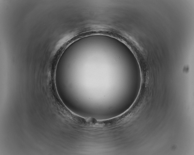 X0000091521261200708171209