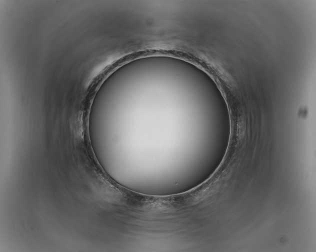X0000091521262200708171209