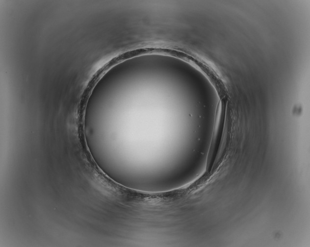 X0000091521264200708171209