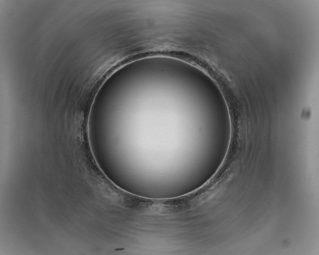 X0000091521265200708171209