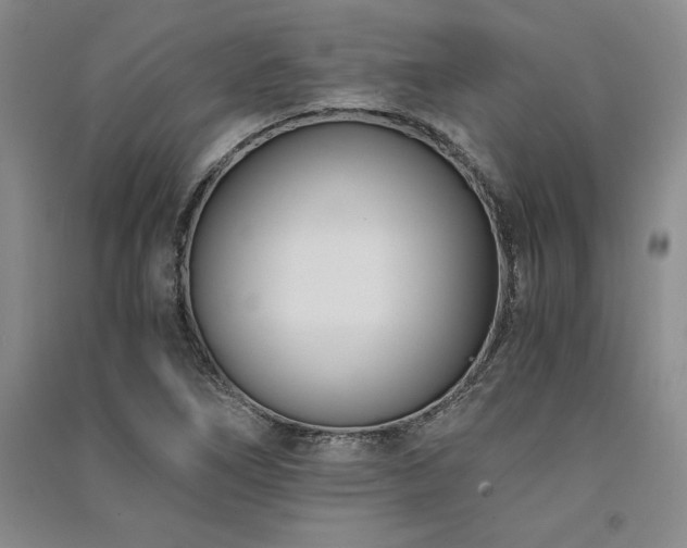 X0000091521266200708171209