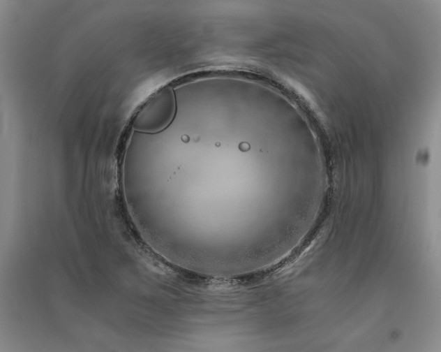 X0000091521267200708171209