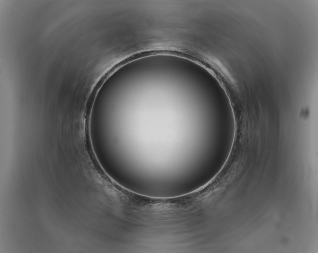 X0000091521268200708171209