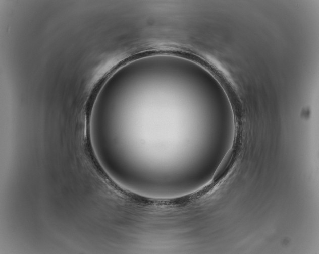 X0000091521269200708171209
