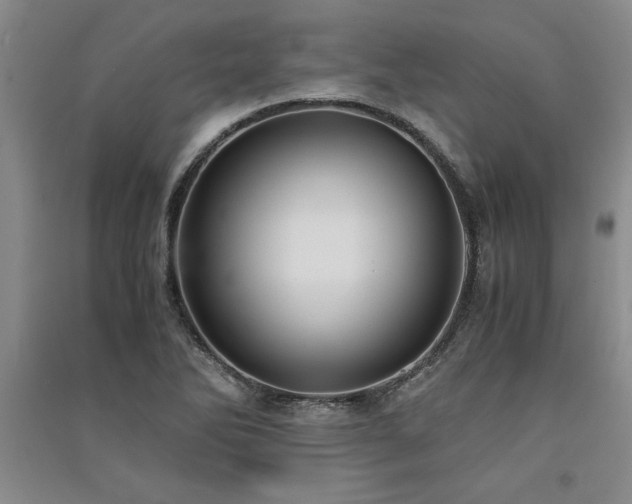 X0000091521270200708171209