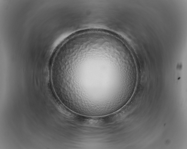 X0000091521271200708171209