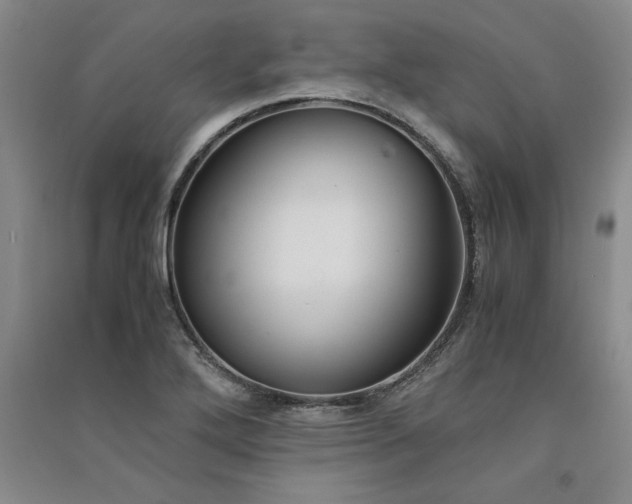 X0000091521272200708171209