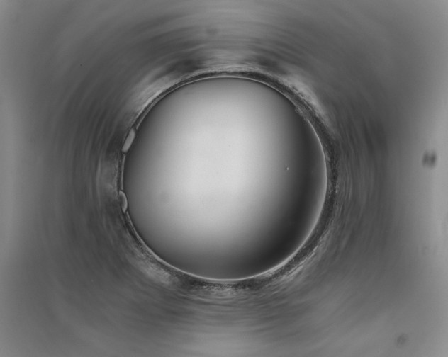 X0000091521273200708171209