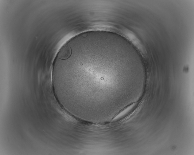 X0000091521275200708171209