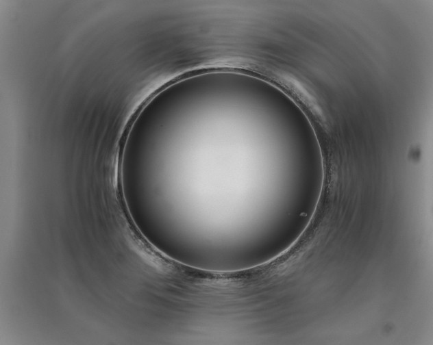 X0000091521276200708171209