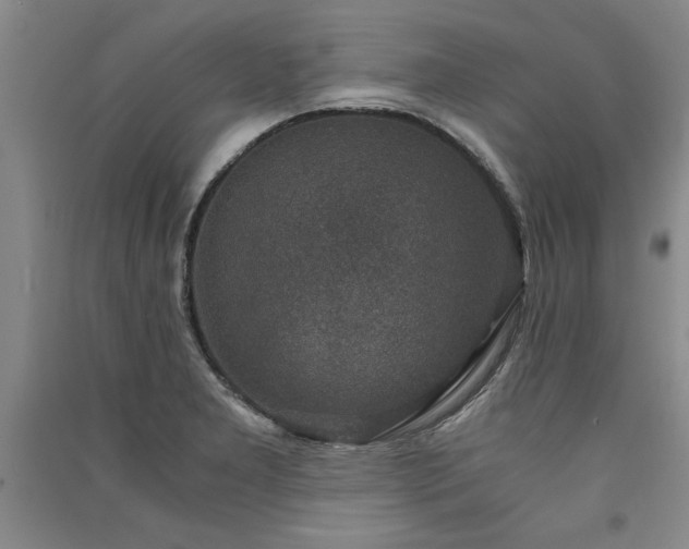 X0000091521277200708171209