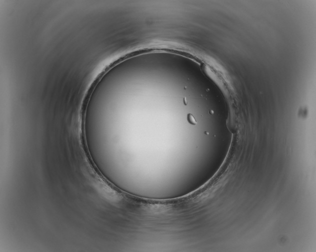 X0000091521280200708171209
