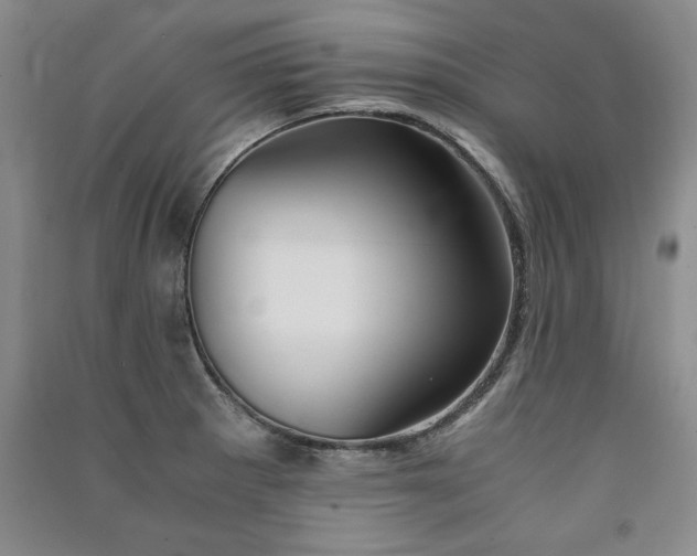 X0000091521281200708171209