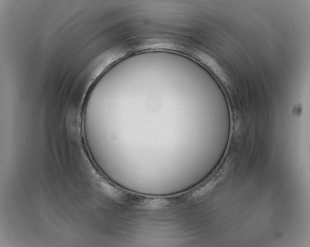 X0000091521282200708171209