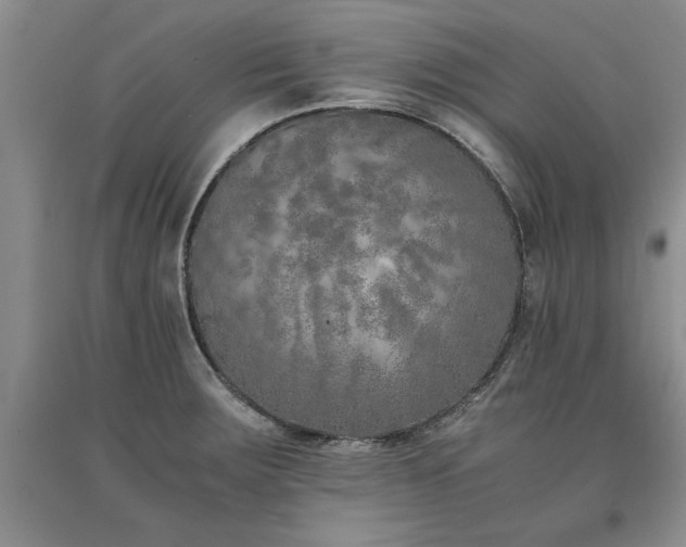 X0000091521283200708171209
