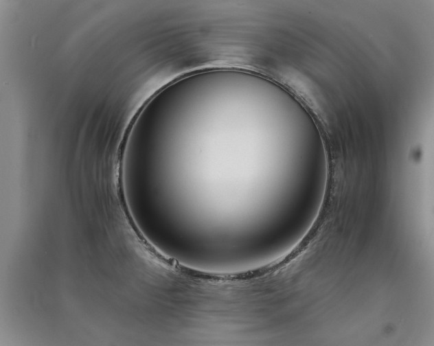 X0000091521284200708171209