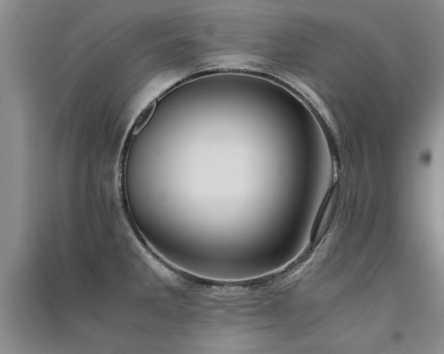 X0000091521285200708171209