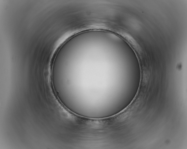 X0000091521286200708171209