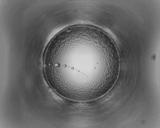 X0000091521287200708171209