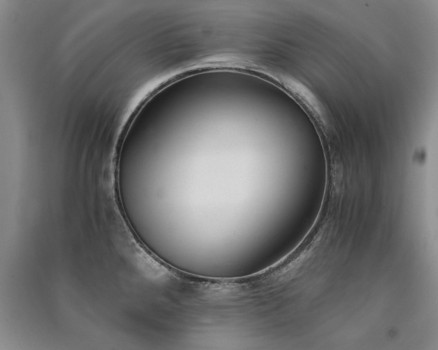 X0000091521288200708171209