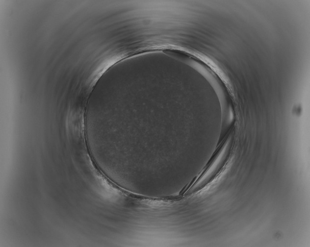 X0000091521289200708171209
