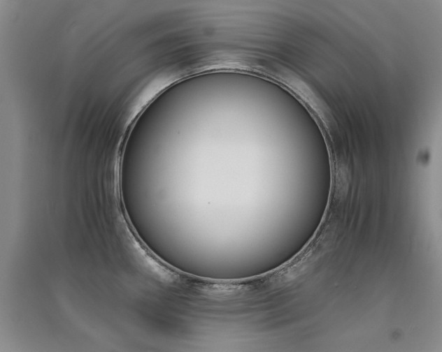 X0000091521290200708171209