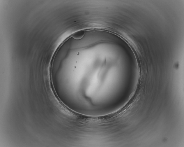 X0000091521291200708171209
