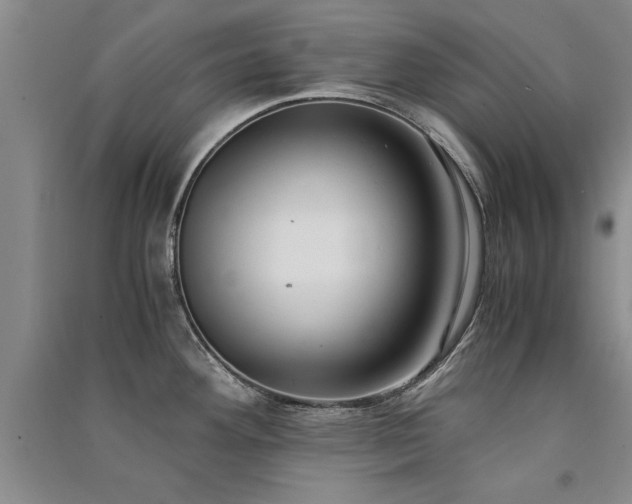 X0000091521292200708171209