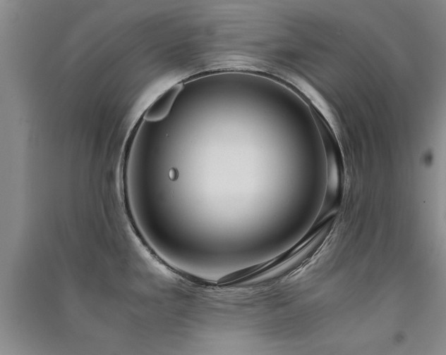 X0000091521293200708171209